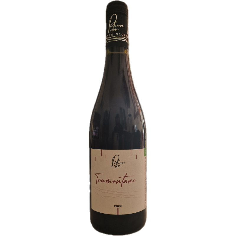 Carignan du Casot 2025