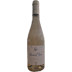 Muscat  Inès 2024